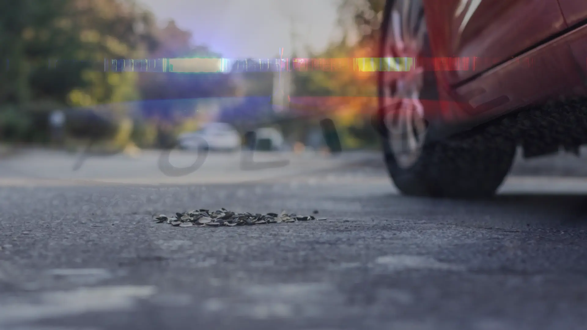 1000 Dollars bill for littering sunflower seed shells in North Cyprus