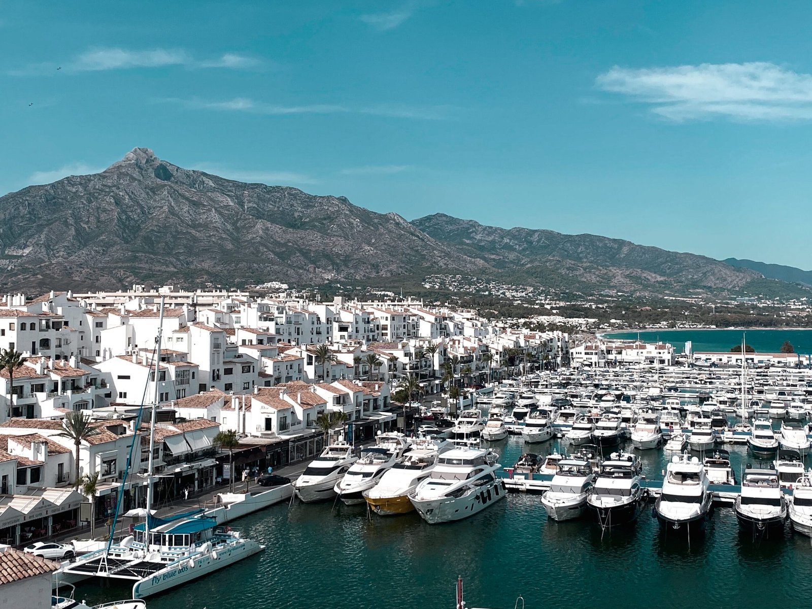 Marbella coastline aerial view with luxury villas and marina